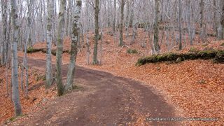 otta Schadlish-03-06-2014 18-01-37